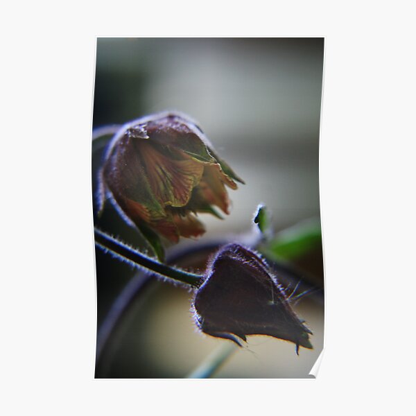 Nature sexy (from wild flowers collection) Poster