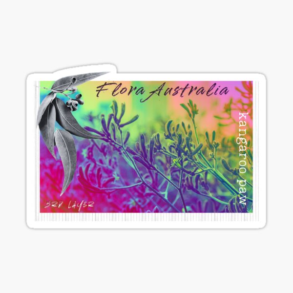 Item preview, Flora Australia | Rainbow Kangaroo Paw designed and sold by 3rdLayer.