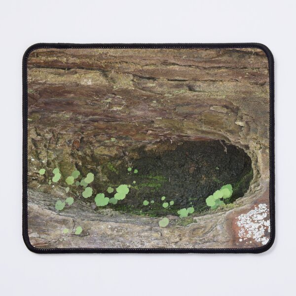 Item preview, TENNESSEE!! designed and sold by TheresaMaeCox.