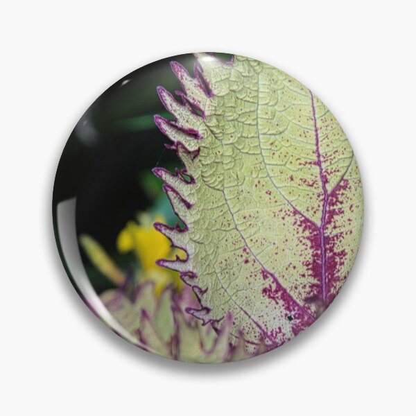 Item preview, Coleus designed and sold by Kerry LeBoutillier.