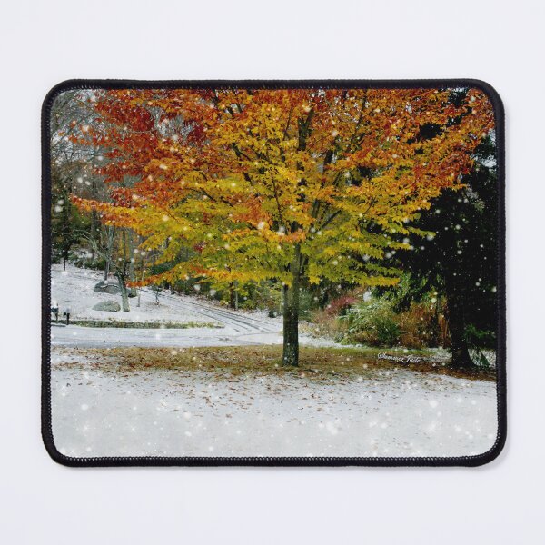 Item preview, Beech Tree ~ Caught in a Snow Flurry designed and sold by SummerJade.