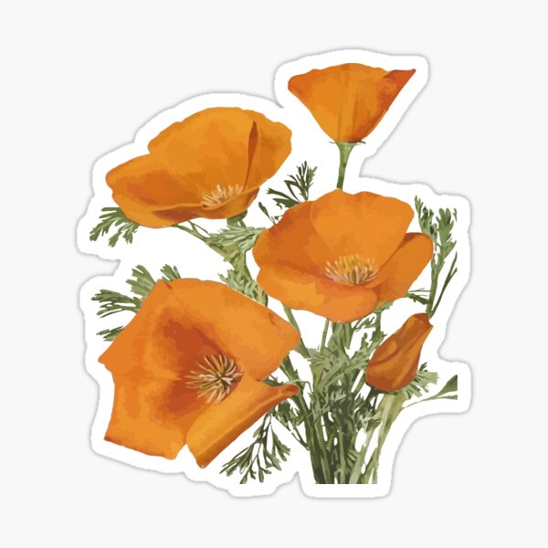 Aperçu de l'œuvre Le pavot de Californie, fleur sauvage orange créée et vendue par taiche.