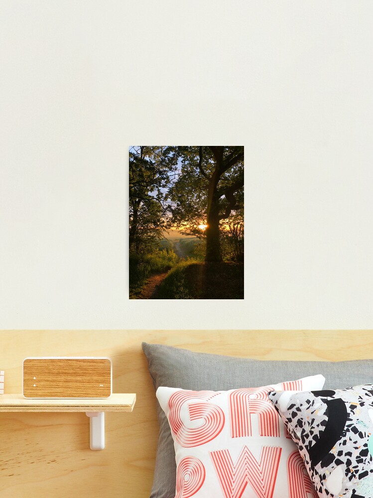 Photographic Print, Path to the Sun  designed and sold by Peter Barrett