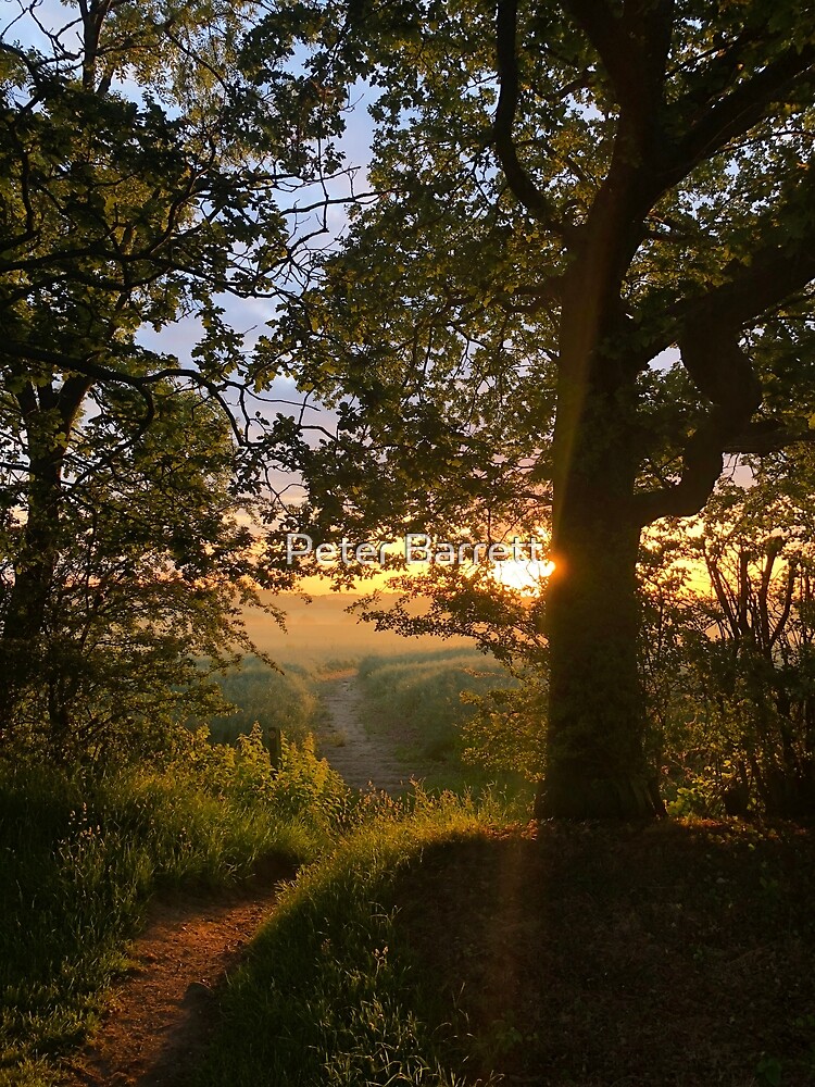 Path to the Sun by hartrockets