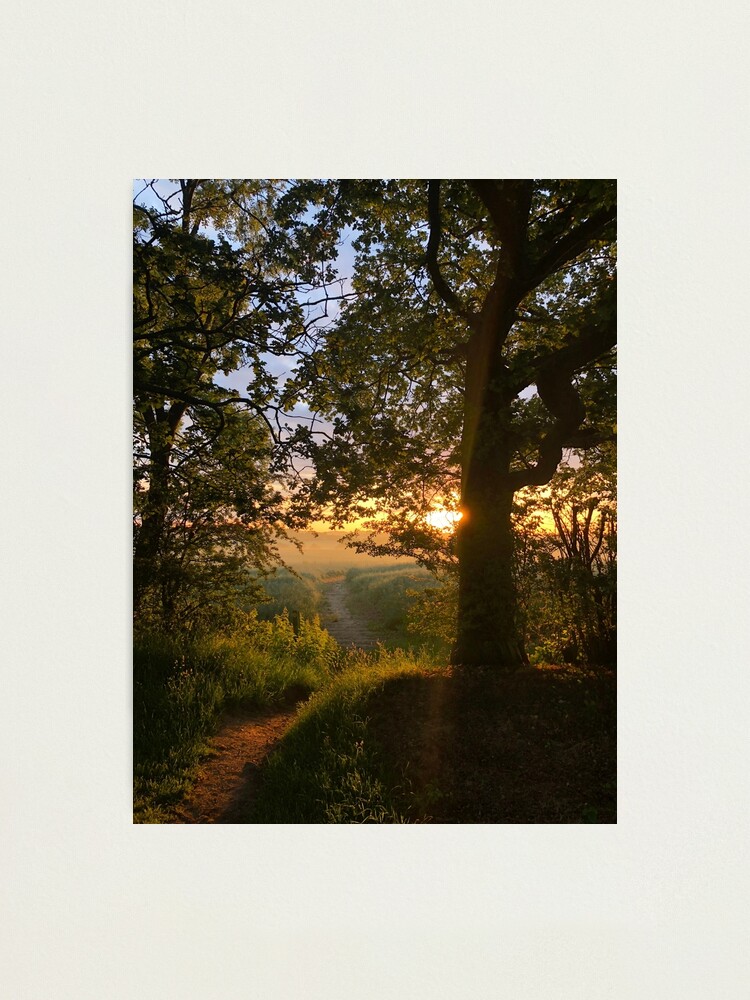 Alternate view of Path to the Sun Photographic Print