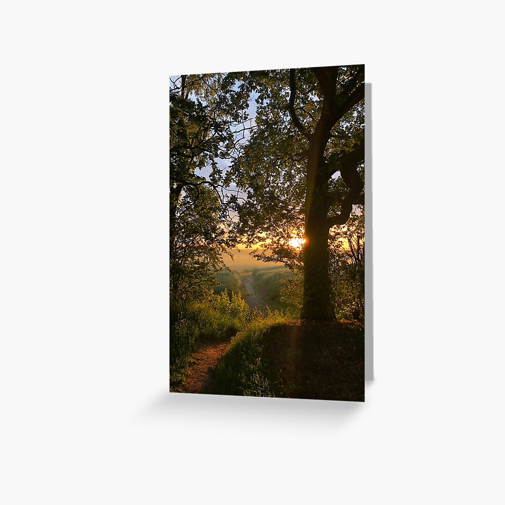 Item preview, Greeting Card designed and sold by hartrockets.