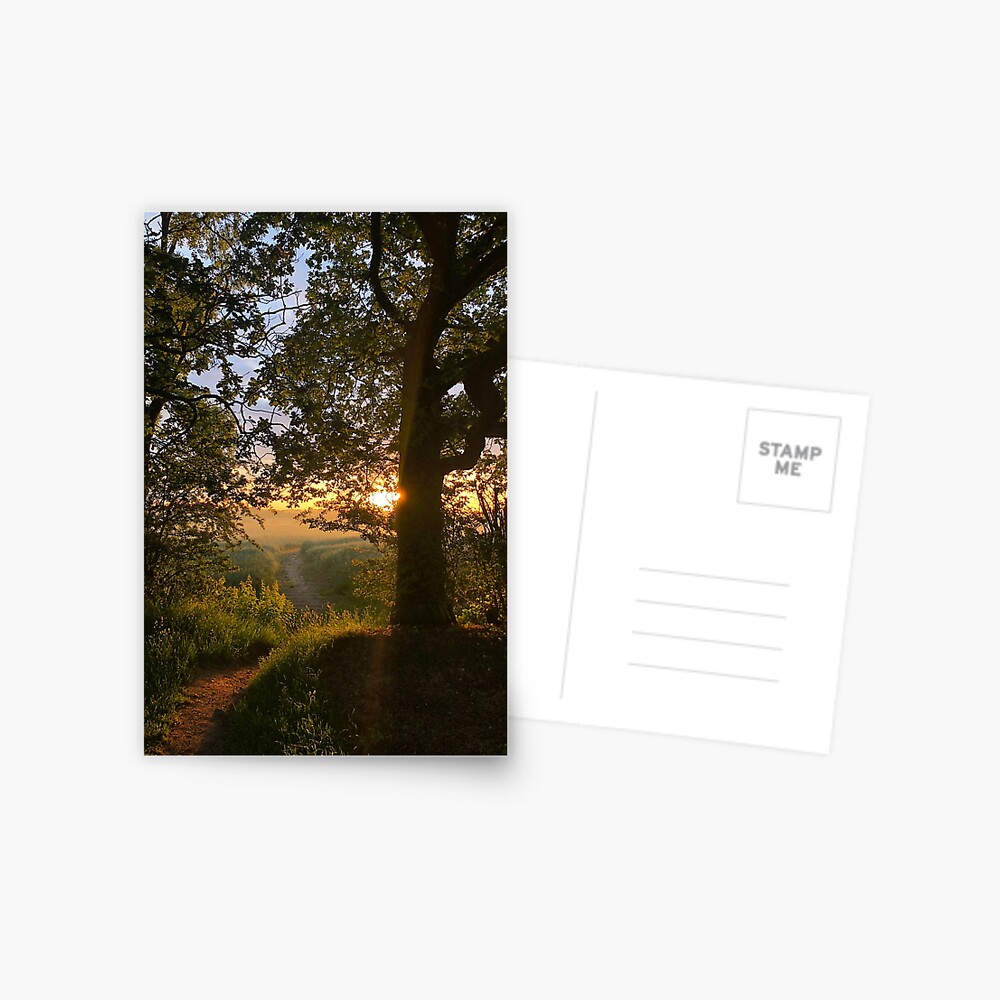 Item preview, Postcard designed and sold by hartrockets.