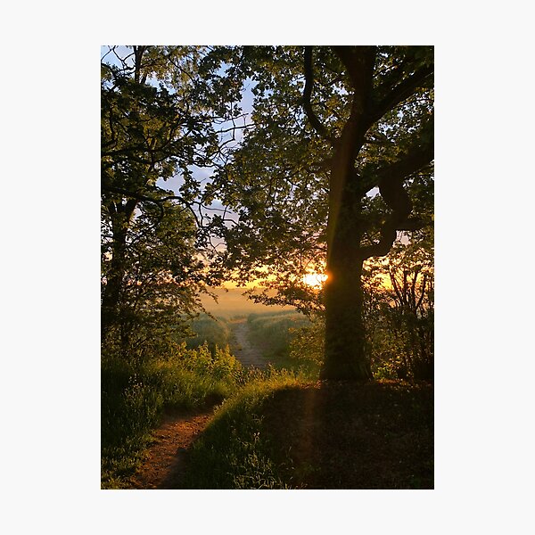 Path to the Sun Photographic Print