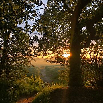 Artwork thumbnail, Path to the Sun by Pete’s Digital Canvas