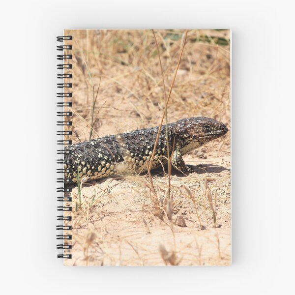 Item preview, Blue-Tongue Lizard in the Sun designed and sold by Aure50.