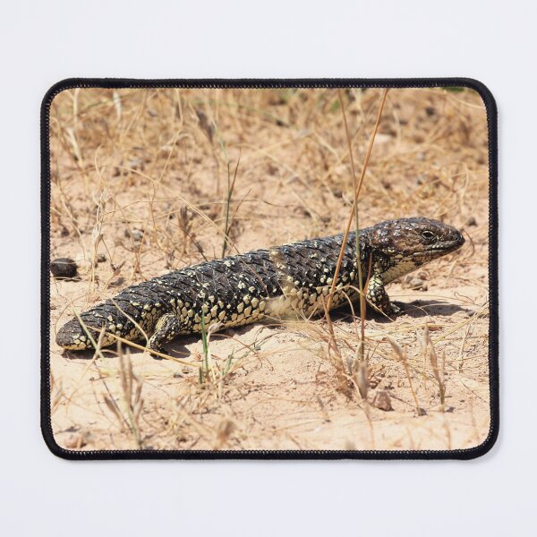 Item preview, Blue-Tongue Lizard in the Sun designed and sold by Aure50.