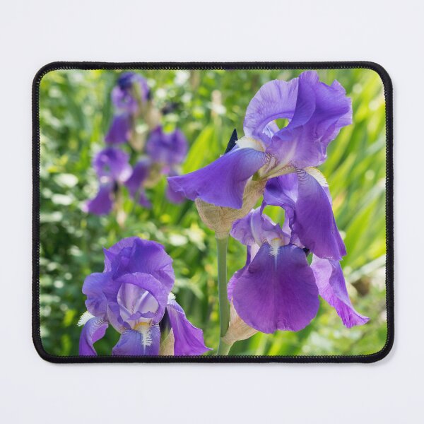 Item preview, Purple Iris Blooms Garden Edge designed and sold by Georgia Mizuleva.