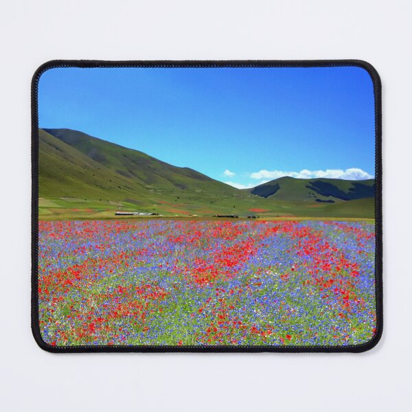 Item preview, Castelluccio flowerinf 2024 designed and sold by annalisa56.