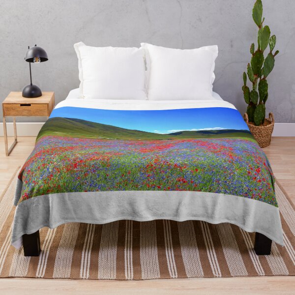 Item preview, Castelluccio flowerinf 2024 designed and sold by annalisa56.
