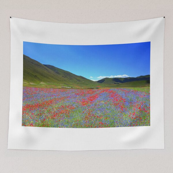 Item preview, Castelluccio flowerinf 2024 designed and sold by annalisa56.