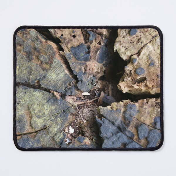 Item preview, Art by Mike Photography Photo Botany Old Tree Annual Rings Nature Photography Black Mushrooms designed and sold by allartbymike.