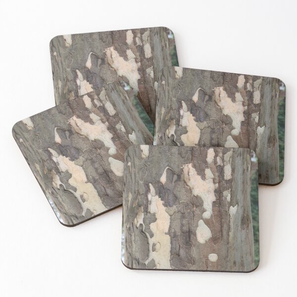 Item preview, Art by Mike photography photo botany old tree nature photography tree bark designed and sold by allartbymike.