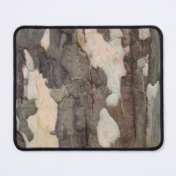 Item preview, Art by Mike photography photo botany old tree nature photography tree bark designed and sold by allartbymike.
