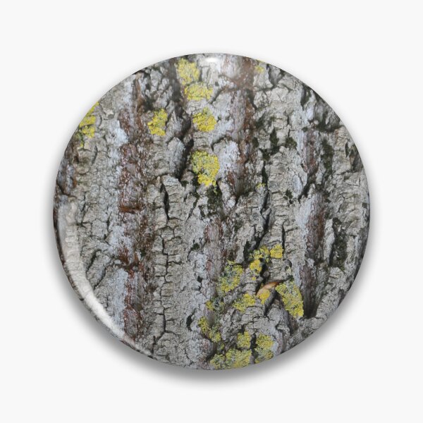 Item preview, Art by Mike Photography Photo Botany Nature Photography Tree Trunk Bark Powerful and Strong designed and sold by allartbymike.