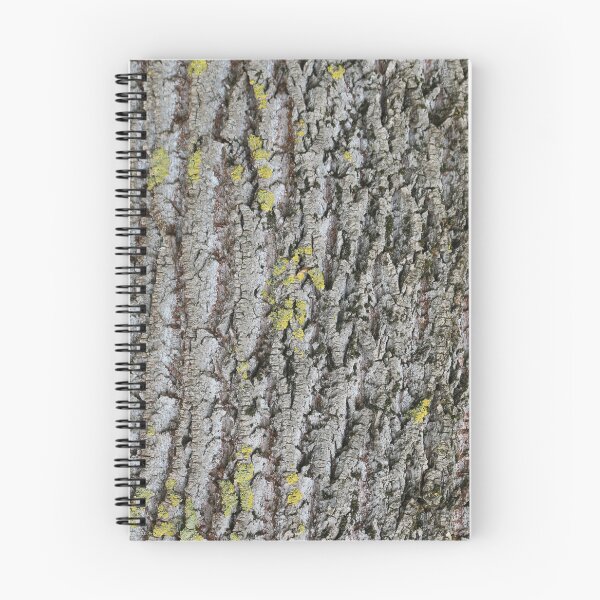 Item preview, Art by Mike Photography Photo Botany Nature Photography Tree Trunk Bark Powerful and Strong designed and sold by allartbymike.