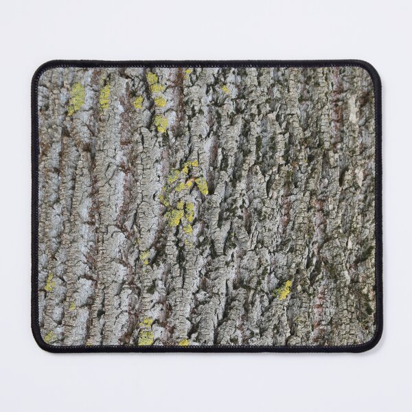 Item preview, Art by Mike Photography Photo Botany Nature Photography Tree Trunk Bark Powerful and Strong designed and sold by allartbymike.