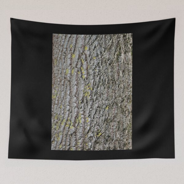 Item preview, Art by Mike Photography Photo Botany Nature Photography Tree Trunk Bark Powerful and Strong designed and sold by allartbymike.