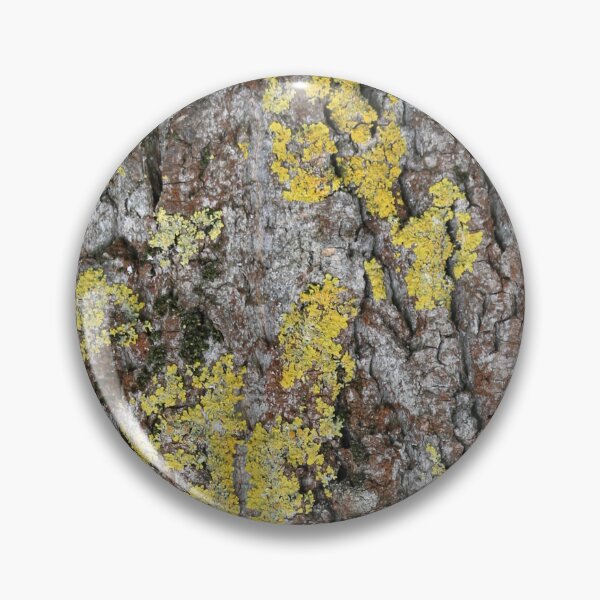 Item preview, Art by Mike Photography Photo Botany Nature Photography Tree Trunk Bark Powerful and Strong designed and sold by allartbymike.