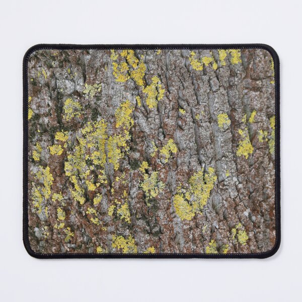 Item preview, Art by Mike Photography Photo Botany Nature Photography Tree Trunk Bark Powerful and Strong designed and sold by allartbymike.