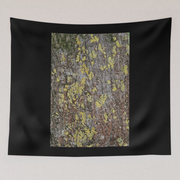 Item preview, Art by Mike Photography Photo Botany Nature Photography Tree Trunk Bark Powerful and Strong designed and sold by allartbymike.