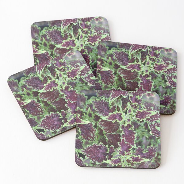 Item preview, Art by Mike Photography Photo Botany Leaves Nature Photography Colorful designed and sold by allartbymike.