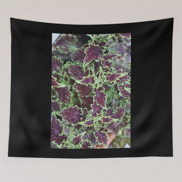Item preview, Art by Mike Photography Photo Botany Leaves Nature Photography Colorful designed and sold by allartbymike.