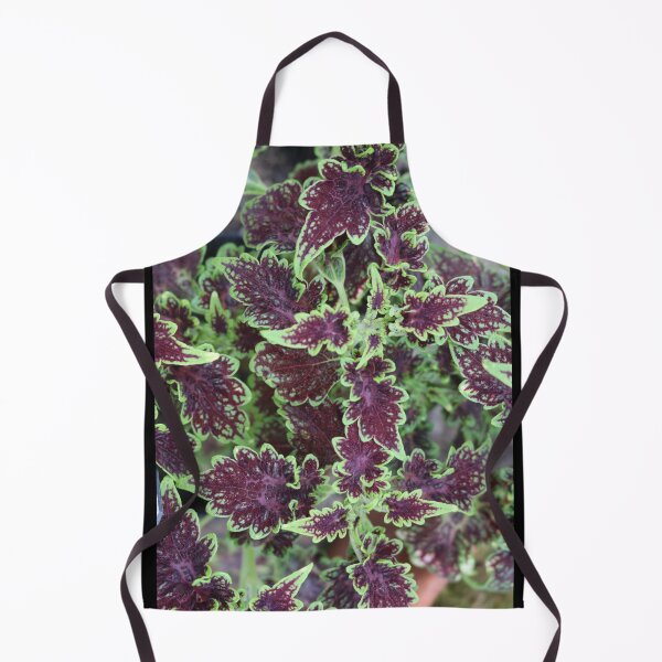 Item preview, Art by Mike Photography Photo Botany Leaves Nature Photography Colorful designed and sold by allartbymike.