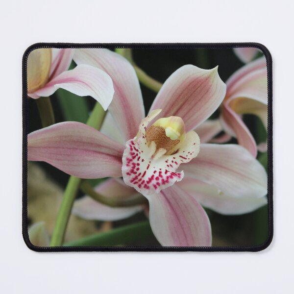 Item preview, Art by Mike Photography Photo Botany Flowers Nature Photography designed and sold by allartbymike.