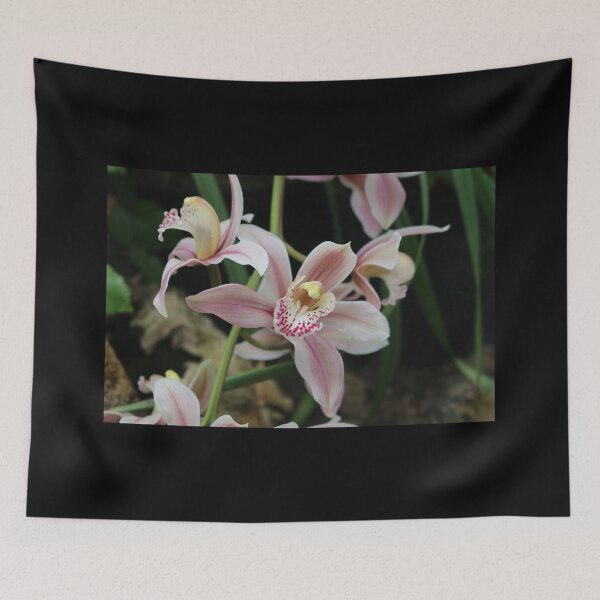 Item preview, Art by Mike Photography Photo Botany Flowers Nature Photography designed and sold by allartbymike.