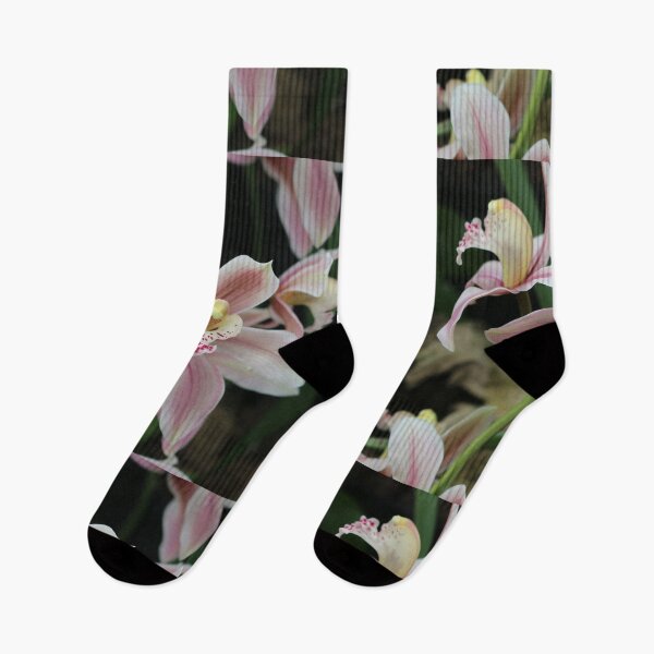 Item preview, Art by Mike Photography Photo Botany Flowers Nature Photography designed and sold by allartbymike.