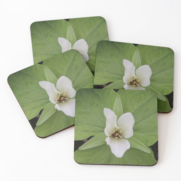 Item preview, Art by Mike Photography Photo Botany Flowers Nature Photography Leaves designed and sold by allartbymike.