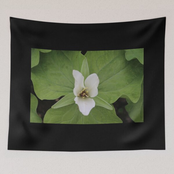 Item preview, Art by Mike Photography Photo Botany Flowers Nature Photography Leaves designed and sold by allartbymike.