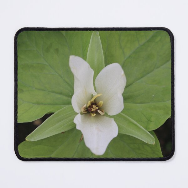 Item preview, Art by Mike Photography Photo Botany Flowers Nature Photography Leaves designed and sold by allartbymike.