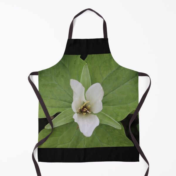 Item preview, Art by Mike Photography Photo Botany Flowers Nature Photography Leaves designed and sold by allartbymike.