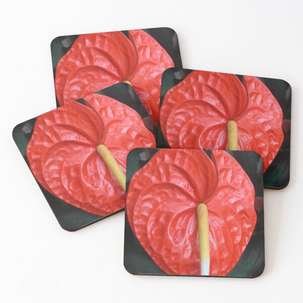 Item preview, Art by Mike Photography Photo Botany Flowers Nature Photography designed and sold by allartbymike.
