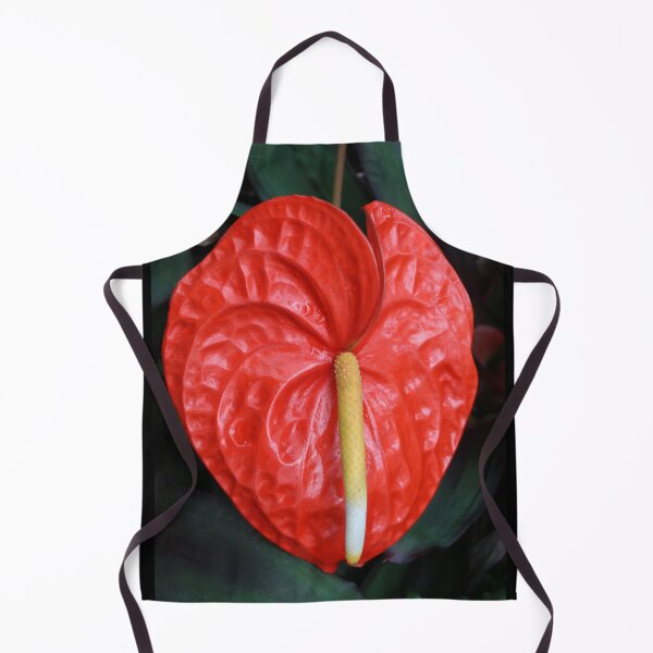 Item preview, Art by Mike Photography Photo Botany Flowers Nature Photography designed and sold by allartbymike.