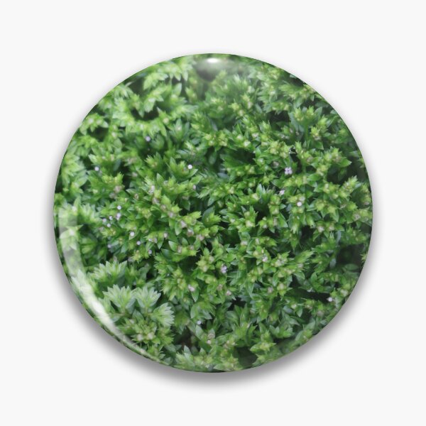 Item preview, Art by Mike Photography Photo Botany Leaves Nature Photography Colorful designed and sold by allartbymike.