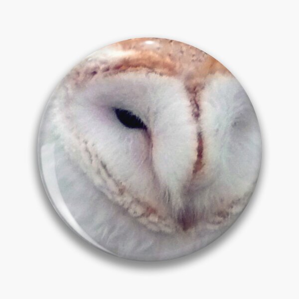 Item preview, Barn Owl Tyto Alba Bird Of Prey designed and sold by AndyEvansPhotos.