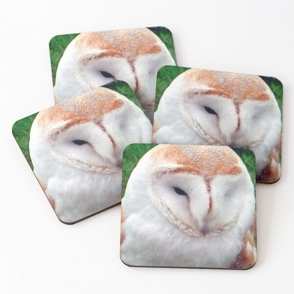 Item preview, Barn Owl Tyto Alba Bird Of Prey designed and sold by AndyEvansPhotos.