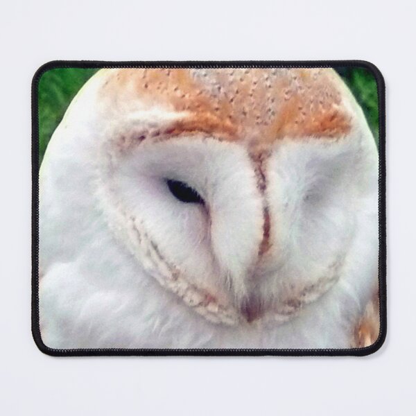 Item preview, Barn Owl Tyto Alba Bird Of Prey designed and sold by AndyEvansPhotos.
