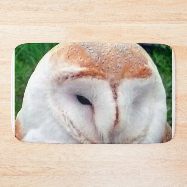 Item preview, Barn Owl Tyto Alba Bird Of Prey designed and sold by AndyEvansPhotos.