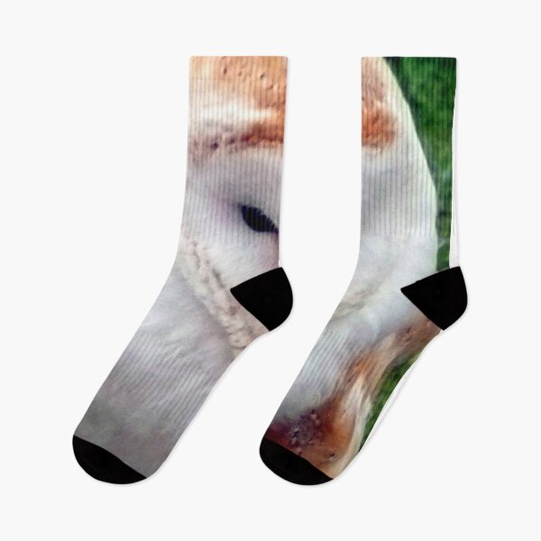 Item preview, Barn Owl Tyto Alba Bird Of Prey designed and sold by AndyEvansPhotos.