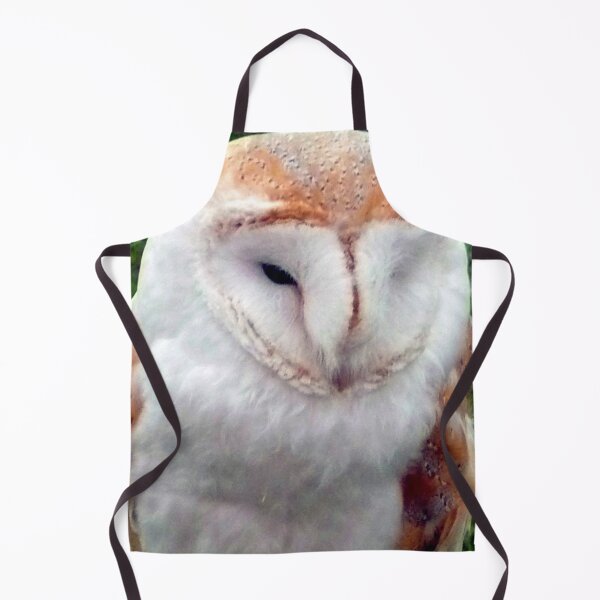 Item preview, Barn Owl Tyto Alba Bird Of Prey designed and sold by AndyEvansPhotos.