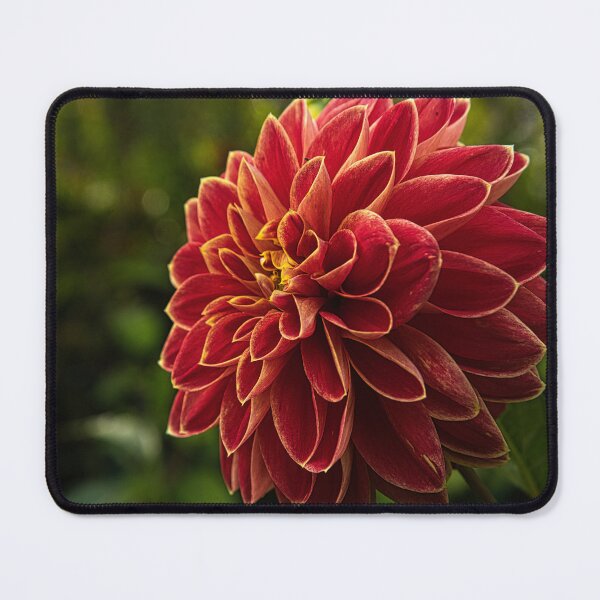 Item preview, More from the eye of Monet designed and sold by Kerry LeBoutillier.