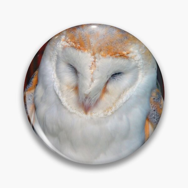 Item preview, Barn Owl Tyto Alba Bird Of Prey designed and sold by AndyEvansPhotos.